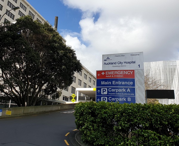 Auckland DHB reflects on 21 years of striving to achieve equity | New ...