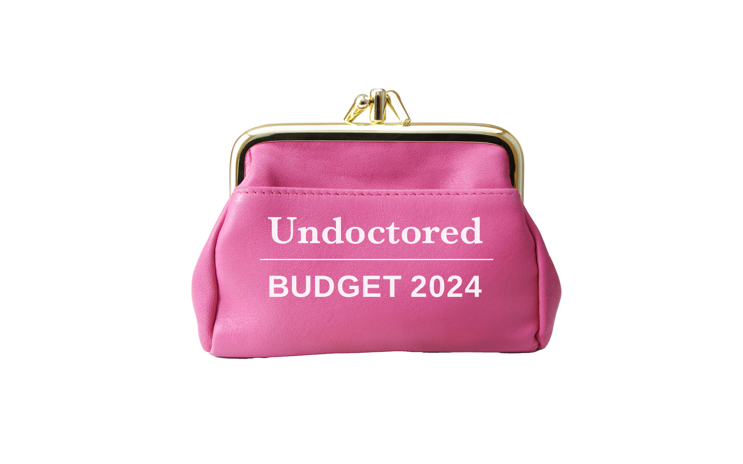 Budget 2024 Budget 2024 produces funding reprioritisation for digital