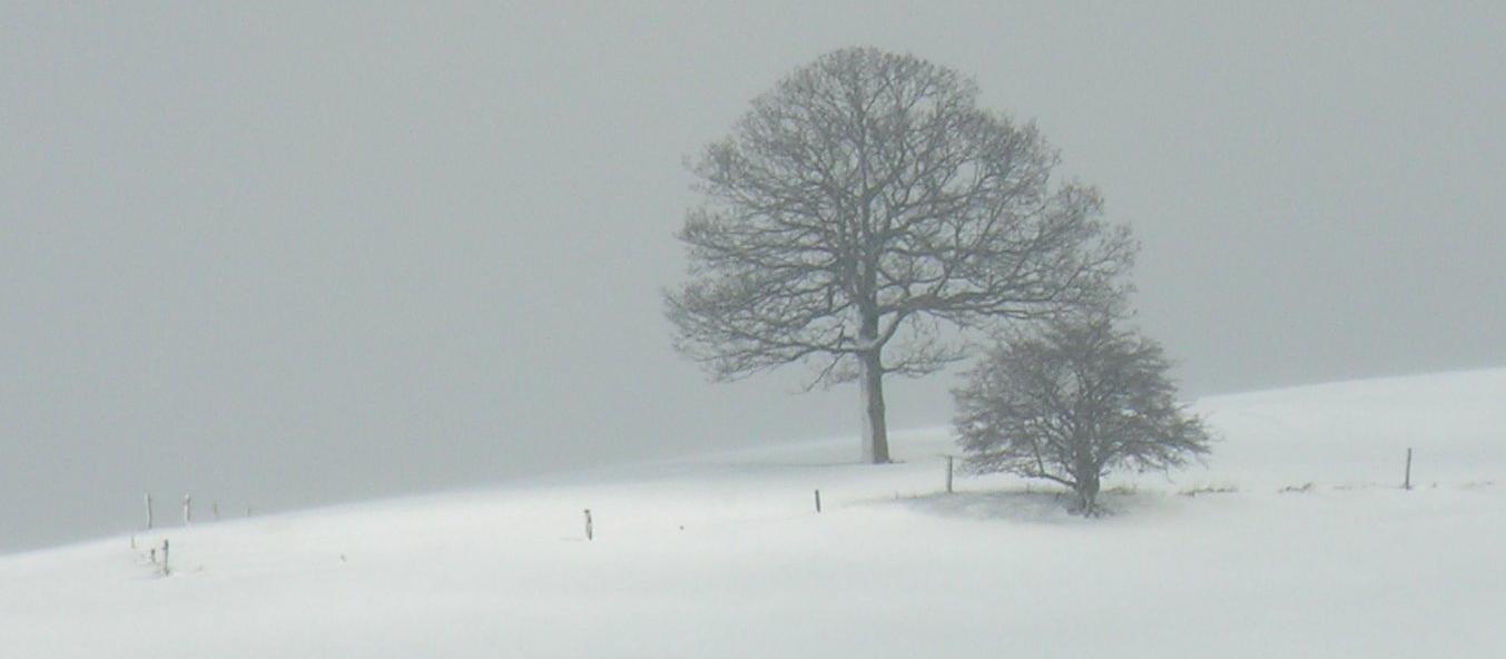 grey, winter, snow