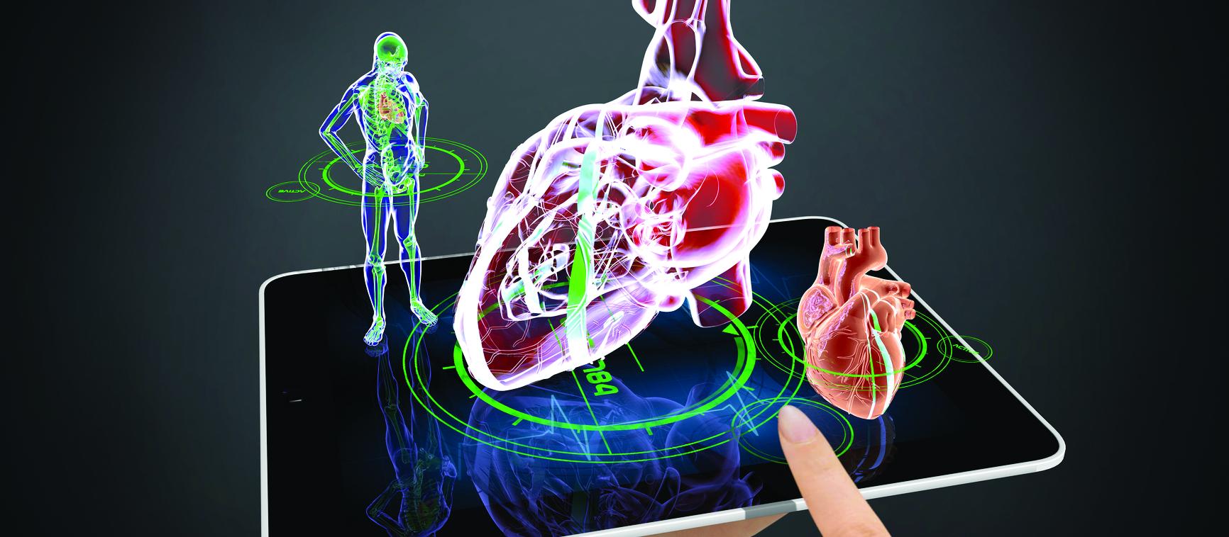 Heart body scan