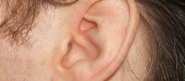 Ear