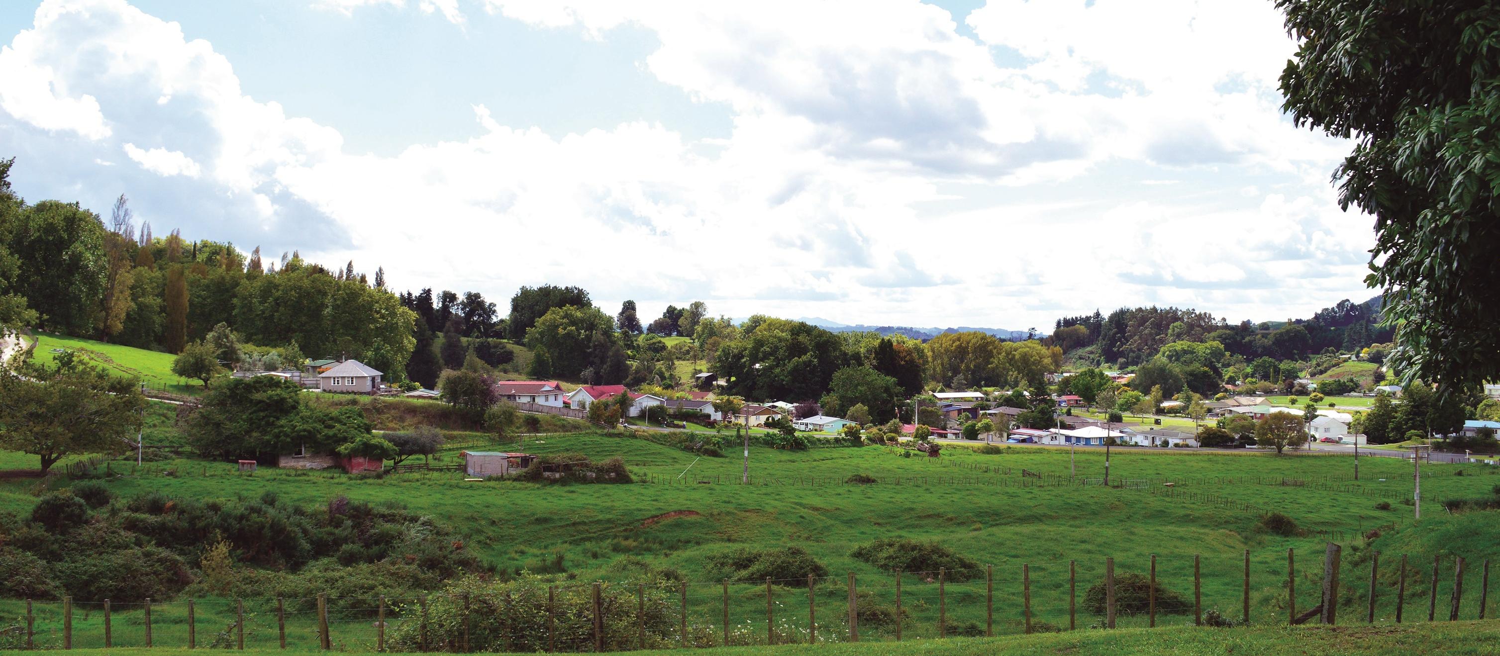 Te kuiti view