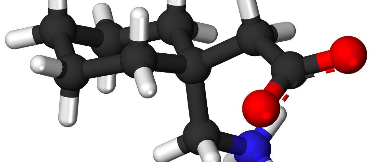 A model showing gabapentin’s molecular structure