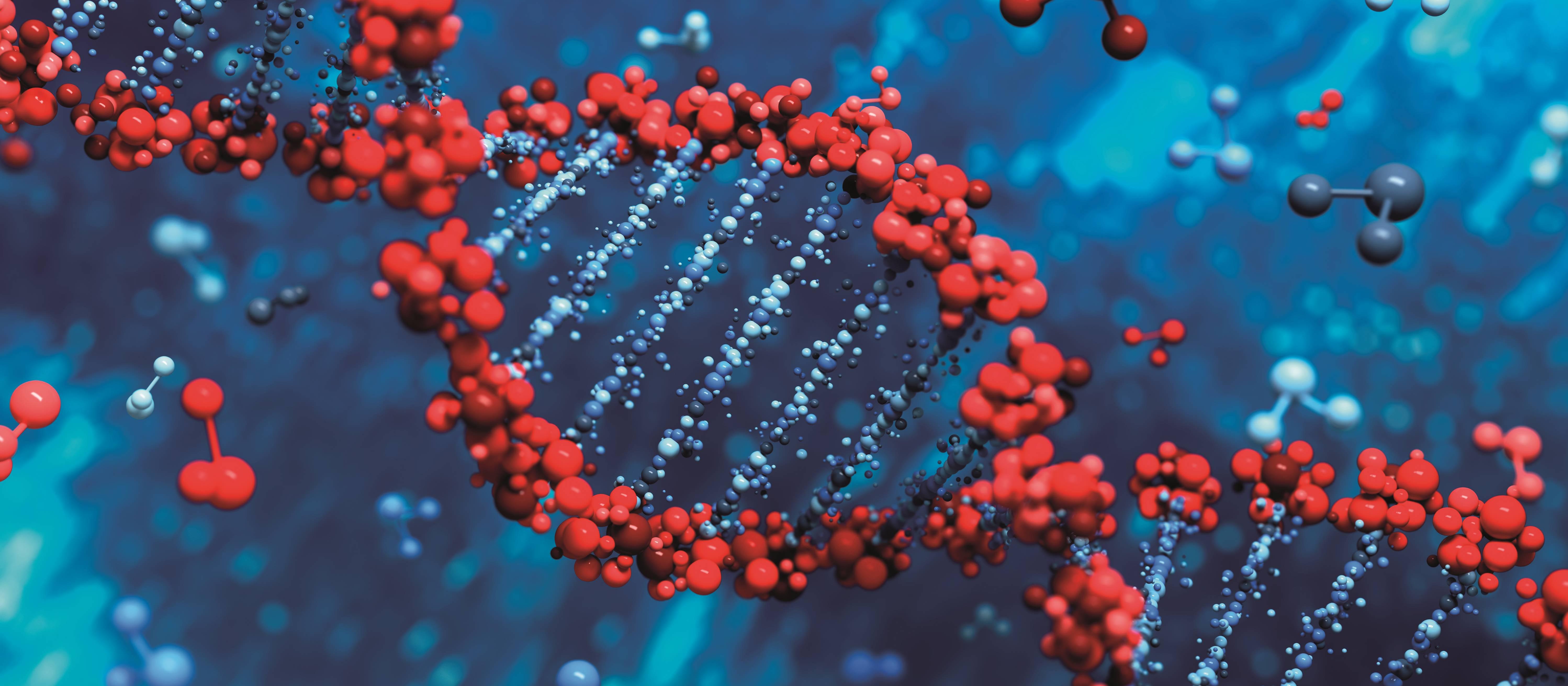 DNA double helix 