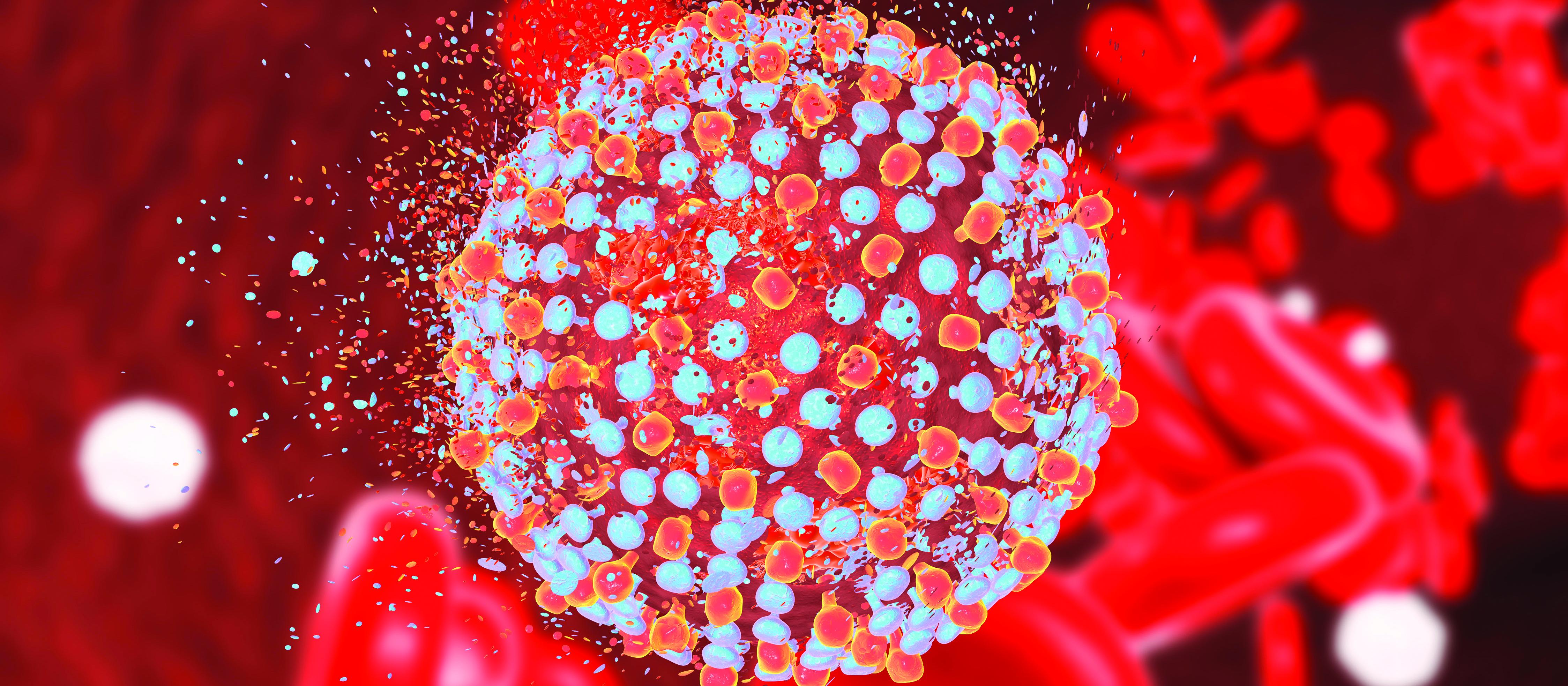 Destruction of hepatitis C