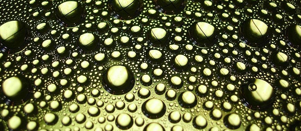 condensation, water drops