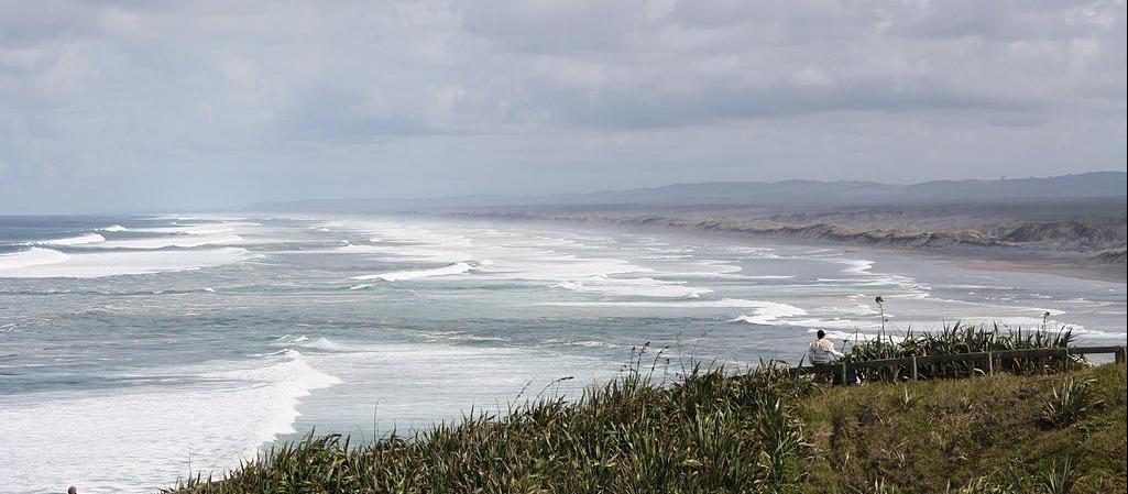 Muriwai Beach