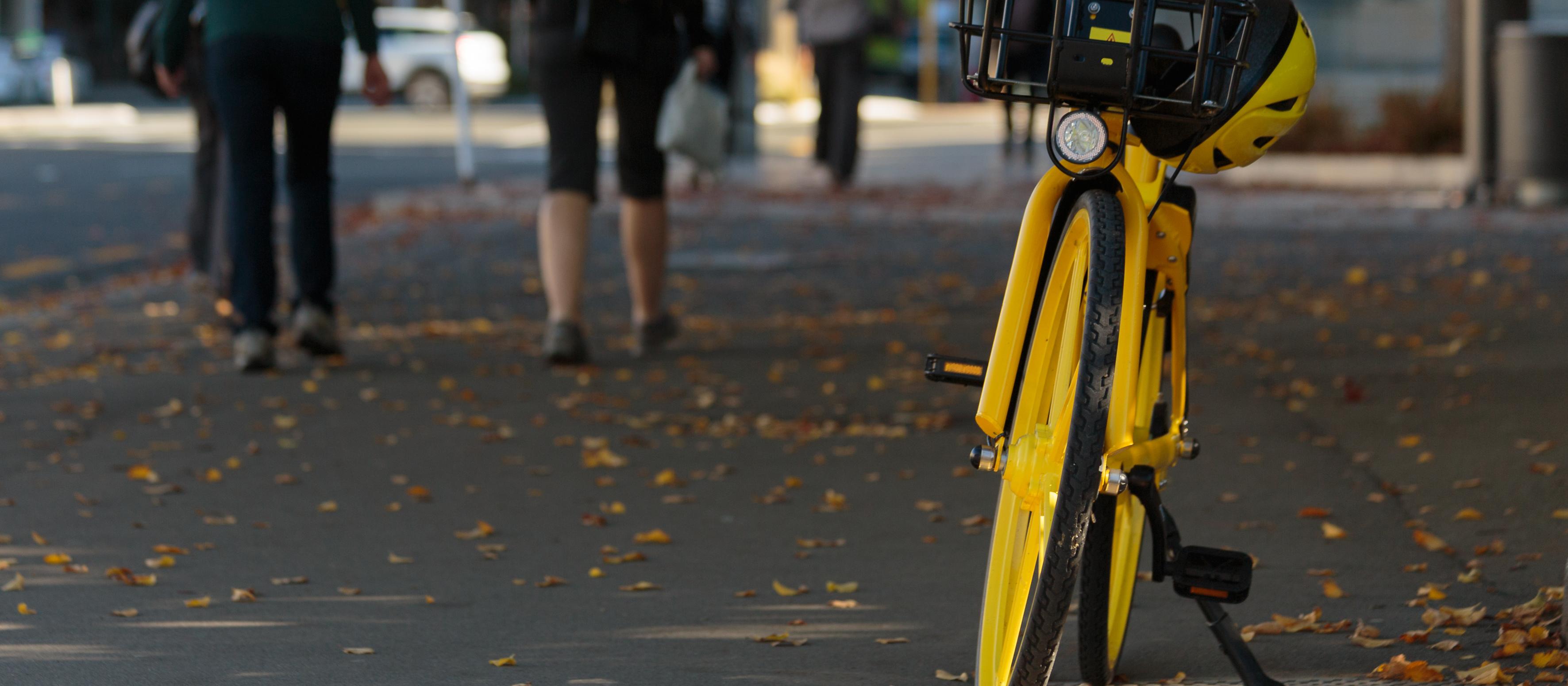 YELLOW BICYCLE, WGTN