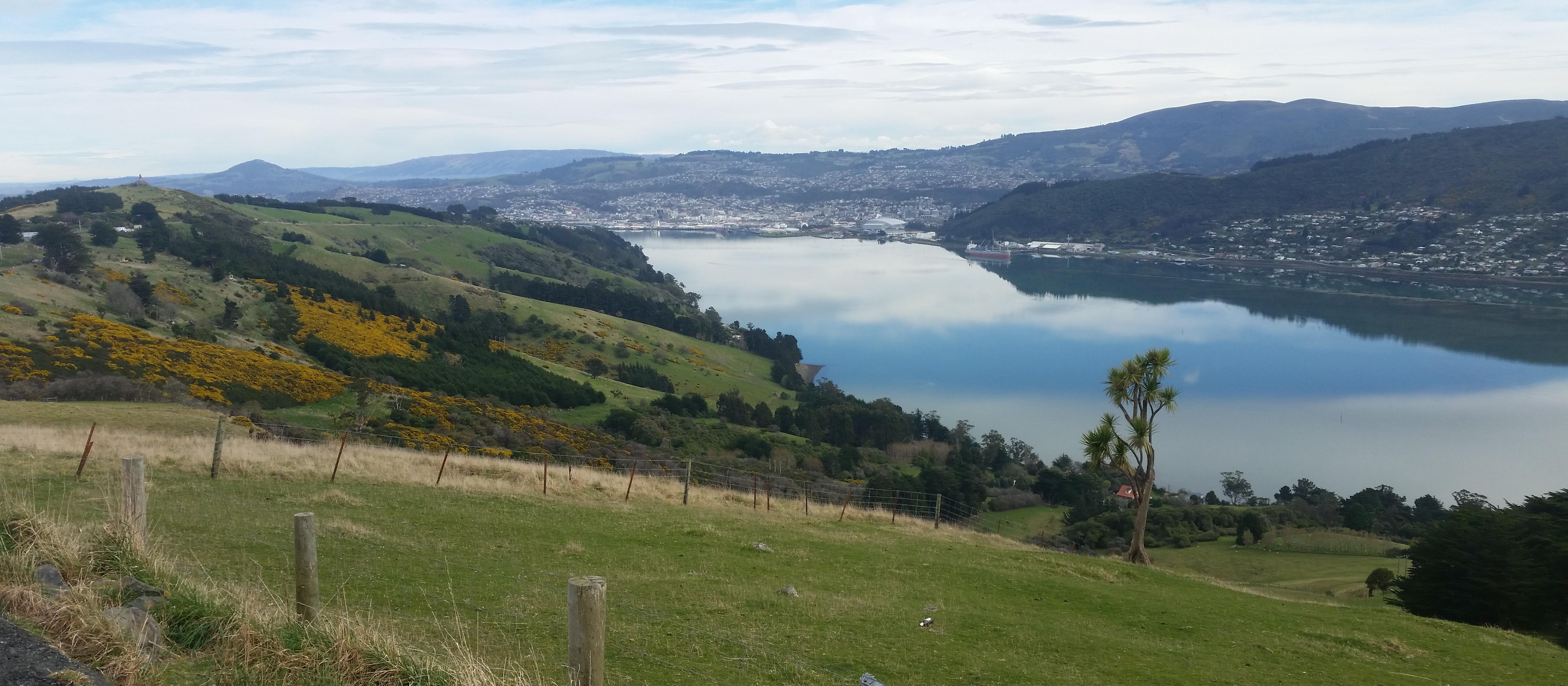 Dunedin