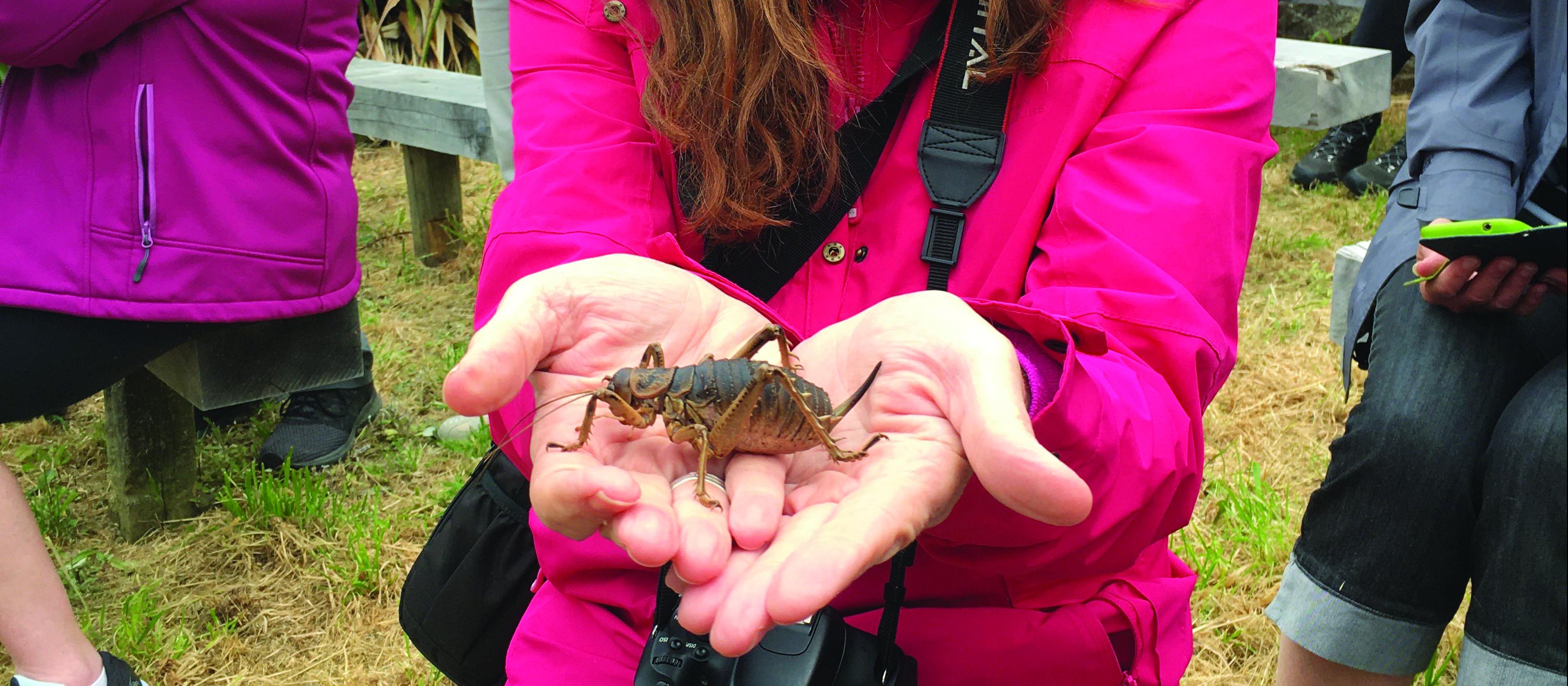 Barbara with weta