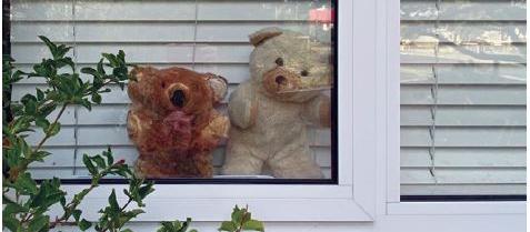 Bears in the window