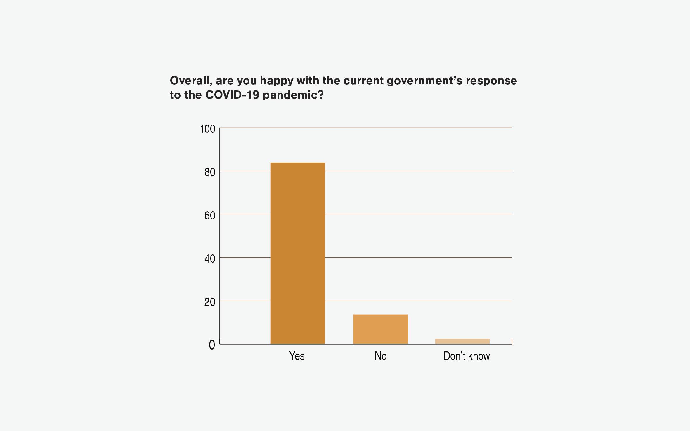 Survey response 1, Government COVID pandemic