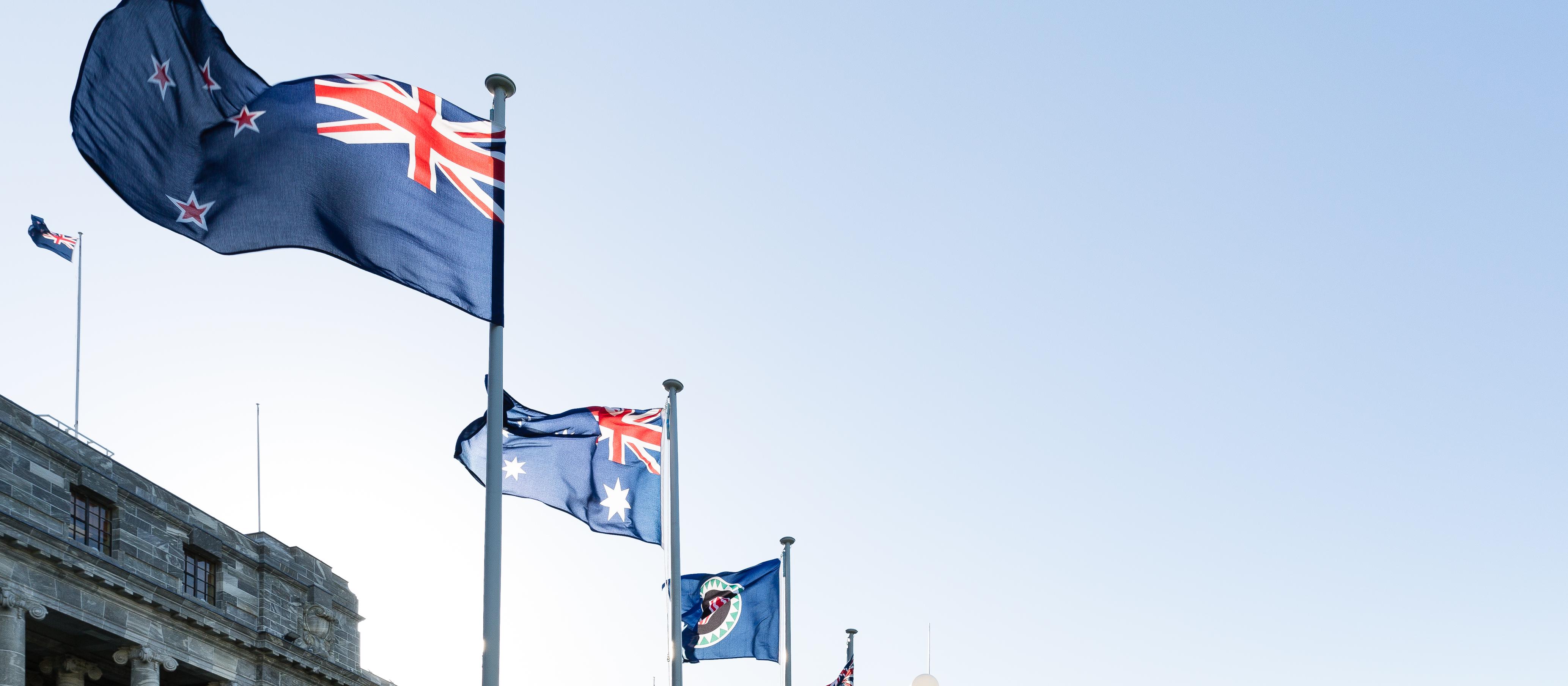 Flags at parliament