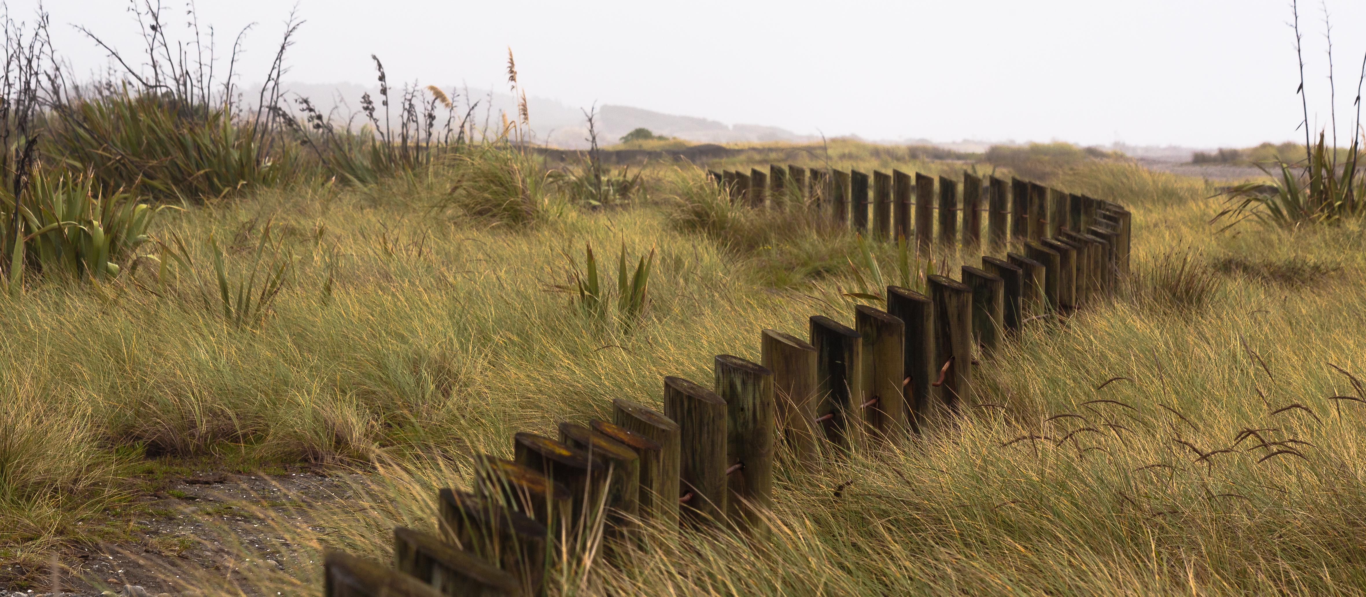 Kāpiti Coast fenceline