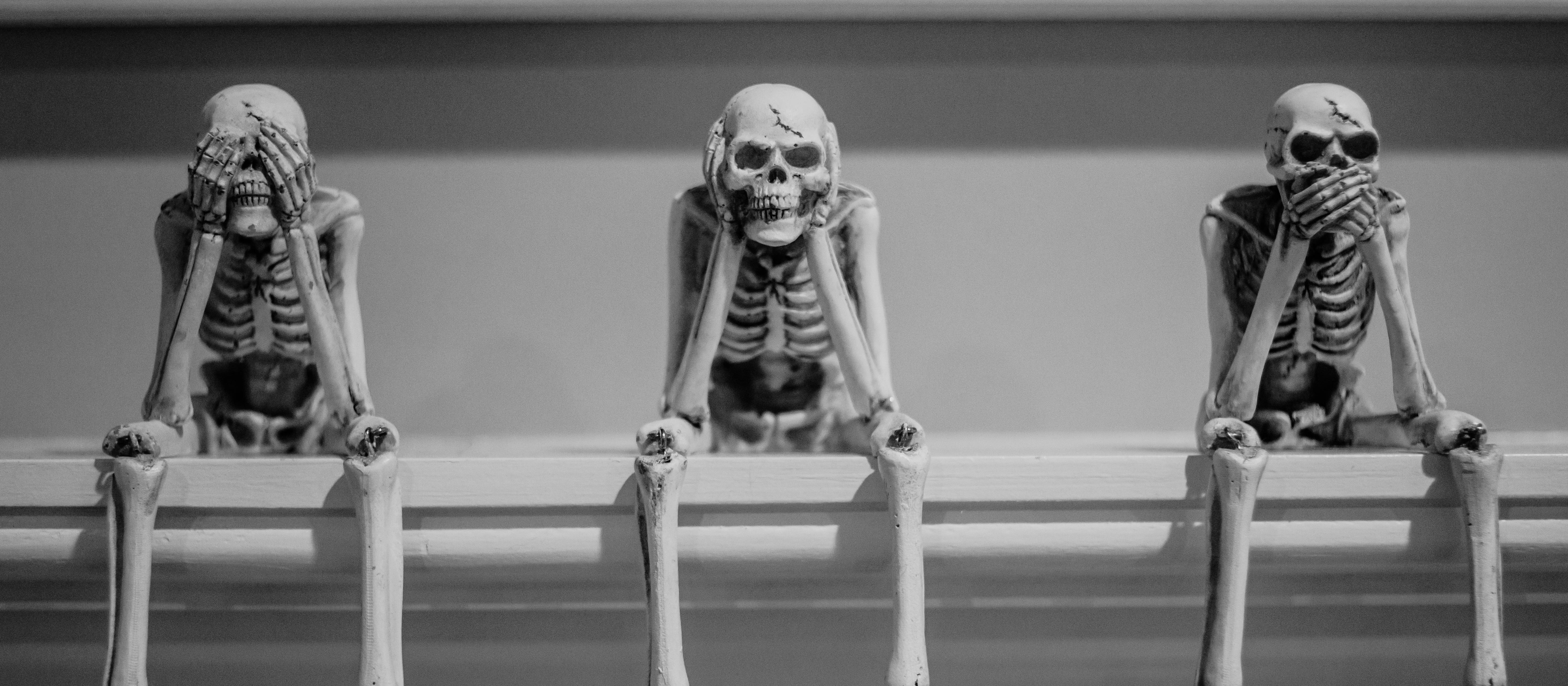 Skeletons, Danielle Macinnes on Unsplash