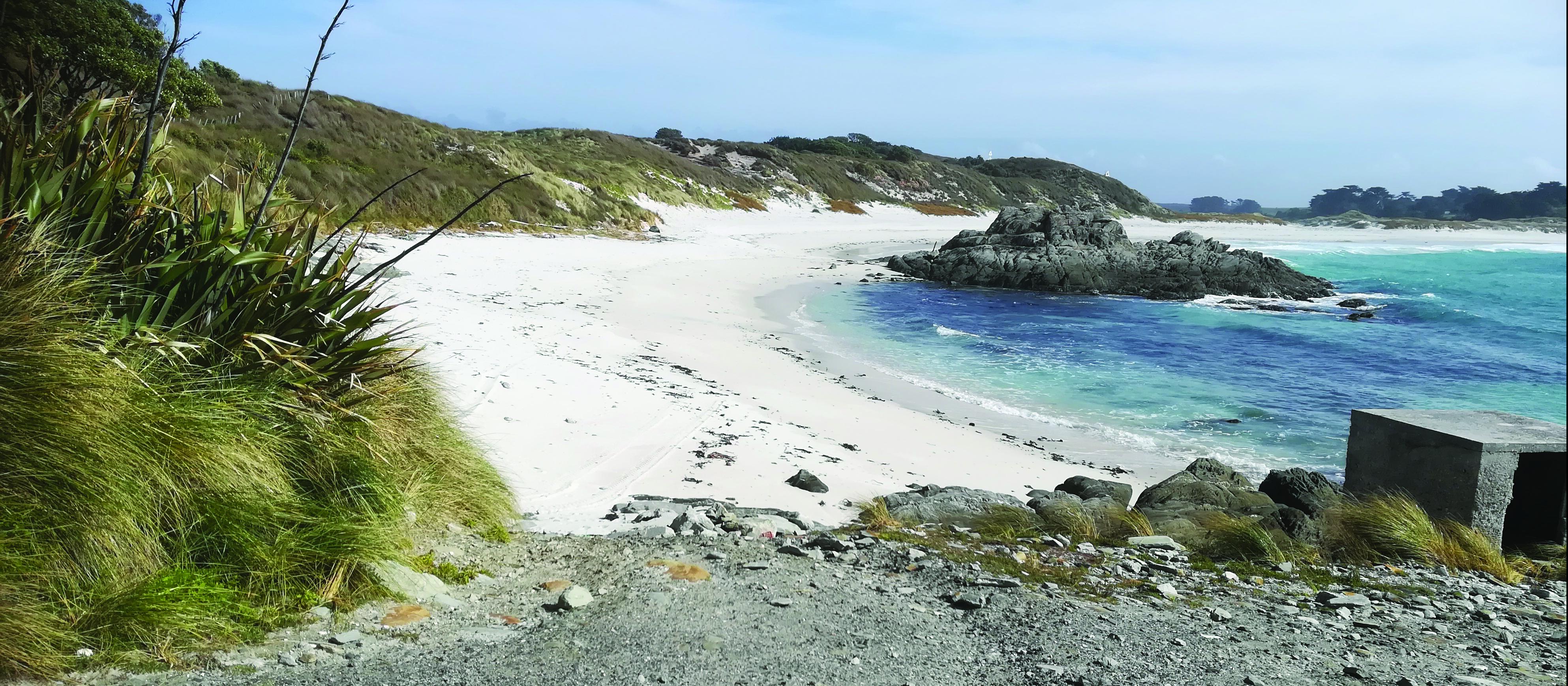 Chatham Islands - Swimming without the great white sharks