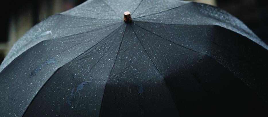 Umbrella, Craig Whitehead on Unsplash