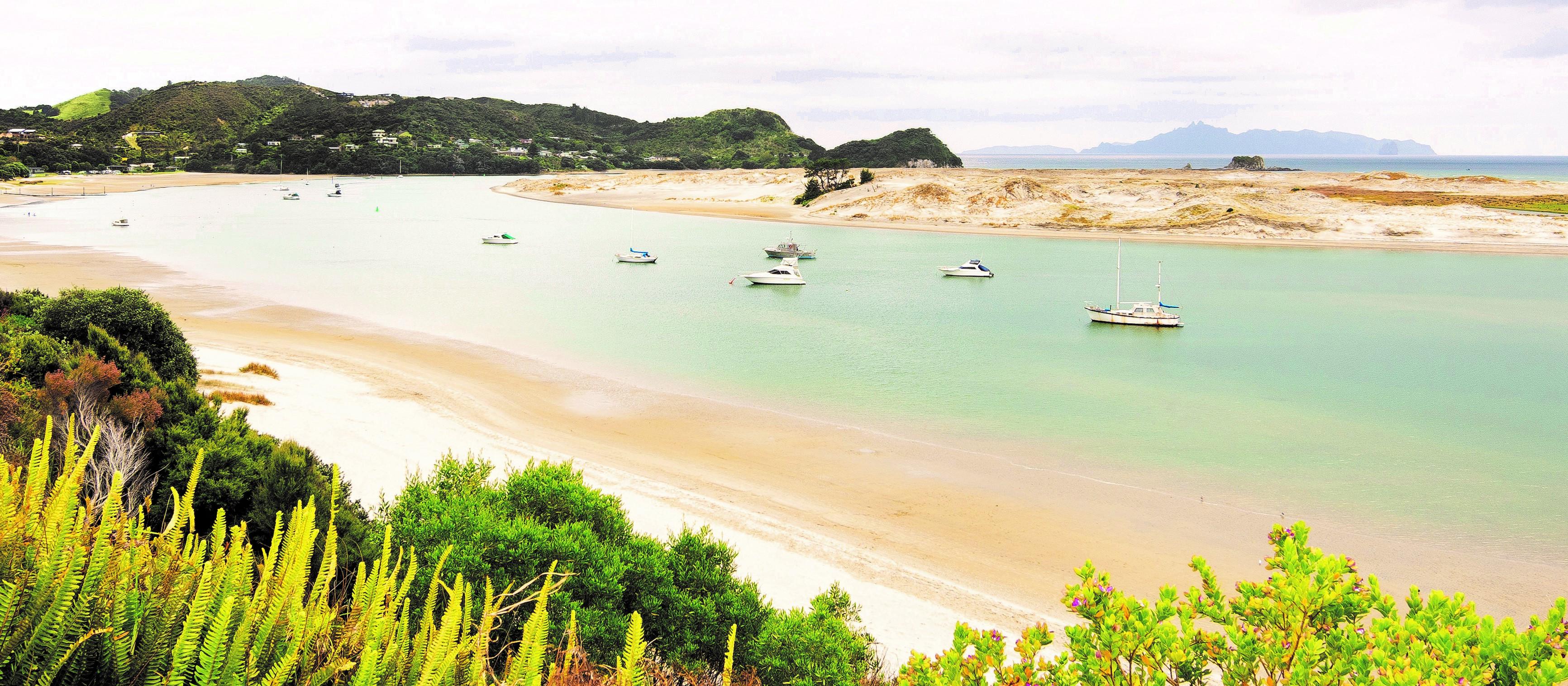 Mangawhai Heads