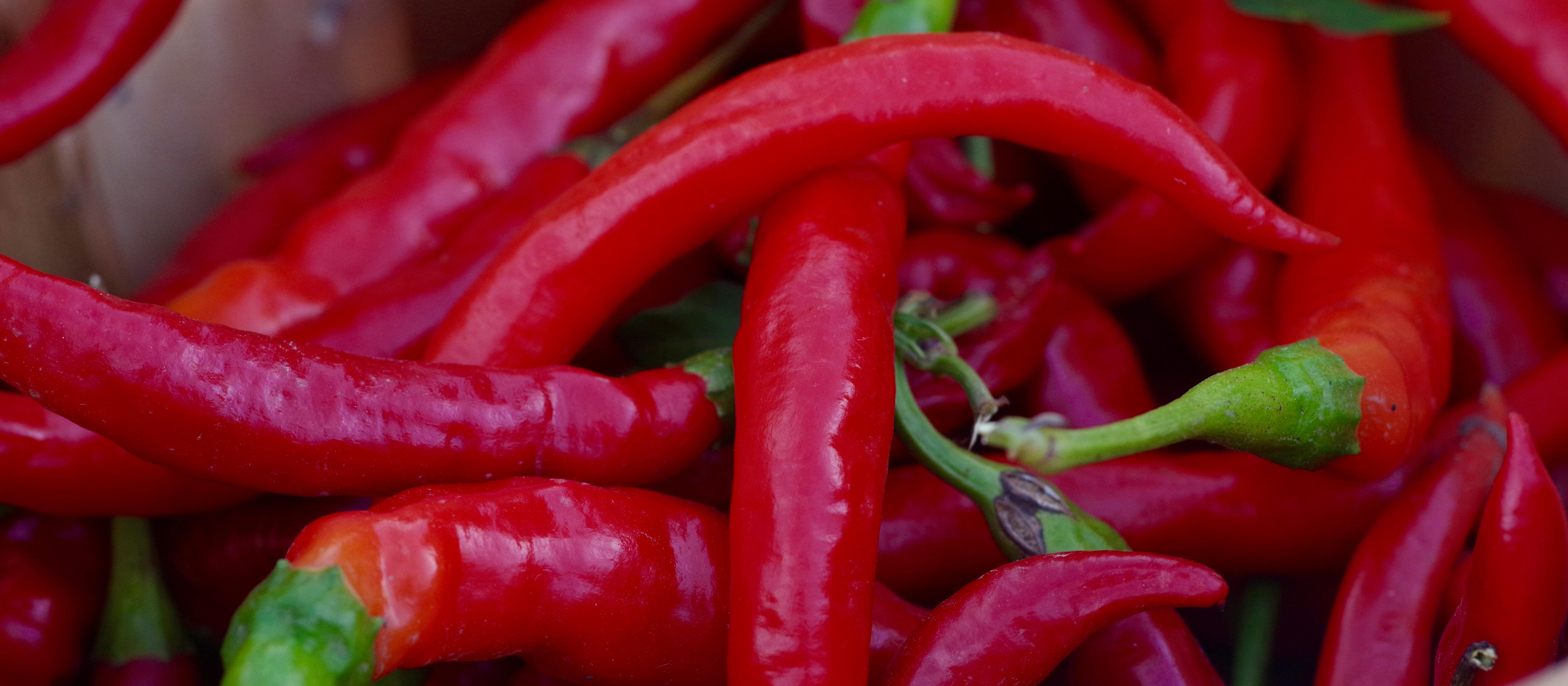 Chillies, Thomas Foley on Unsplash