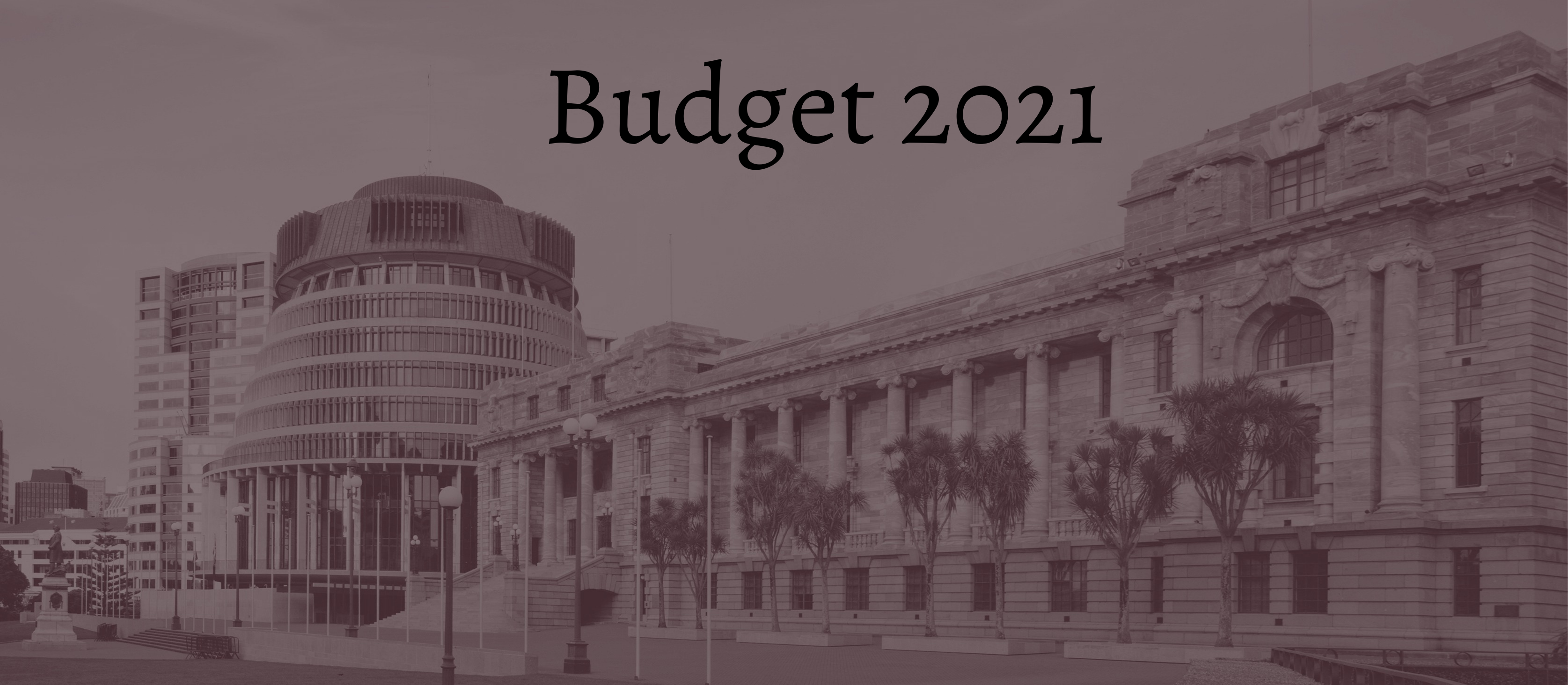 Budget 2021_Beehive_Sepia