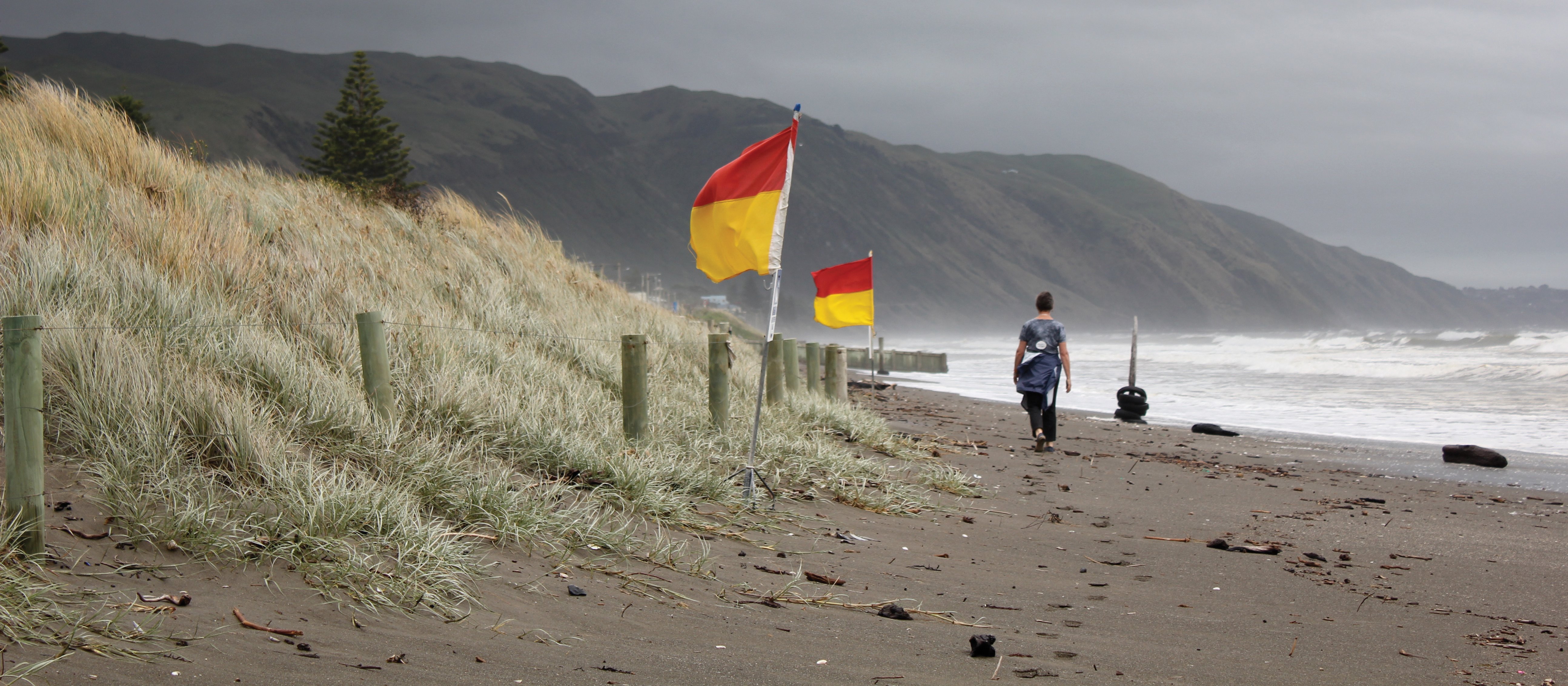 Beach on the Kāpiti Coast