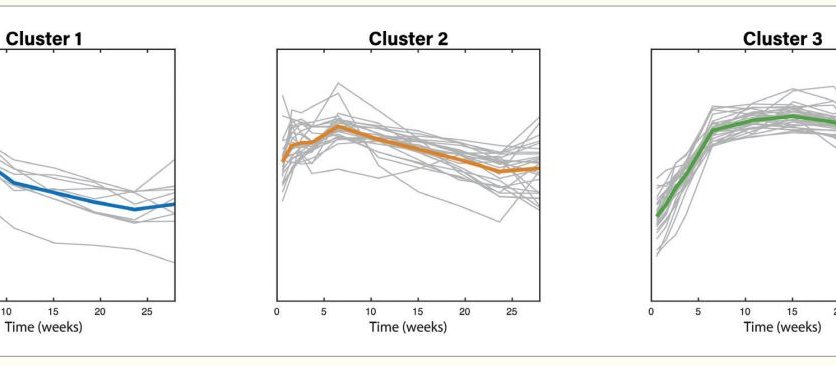 Symptom clusters in long COVID, based on temporal similarities. Plots show time courses for the symptoms in each cluster (grey lines) and the mean for each cluster (coloured lines)