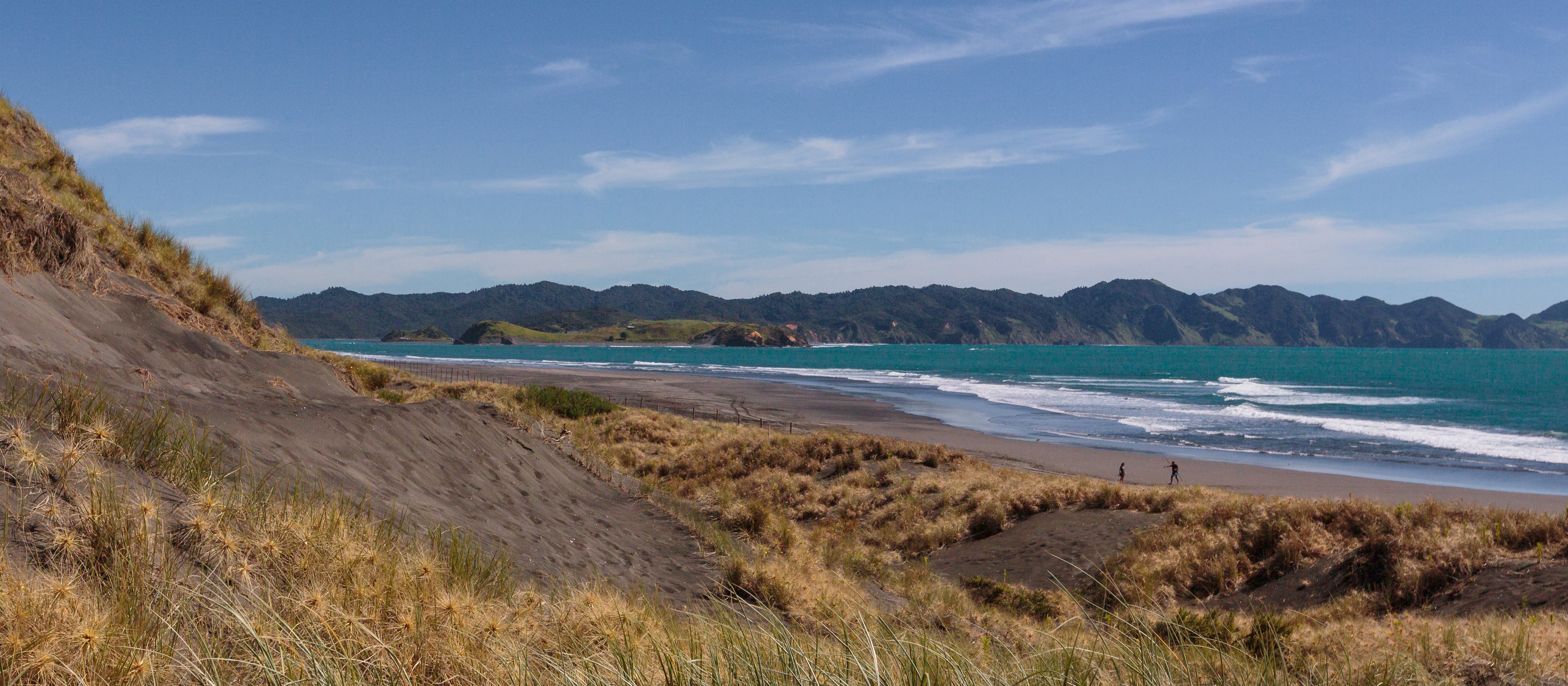 Ocean beach kawhia.jpeg