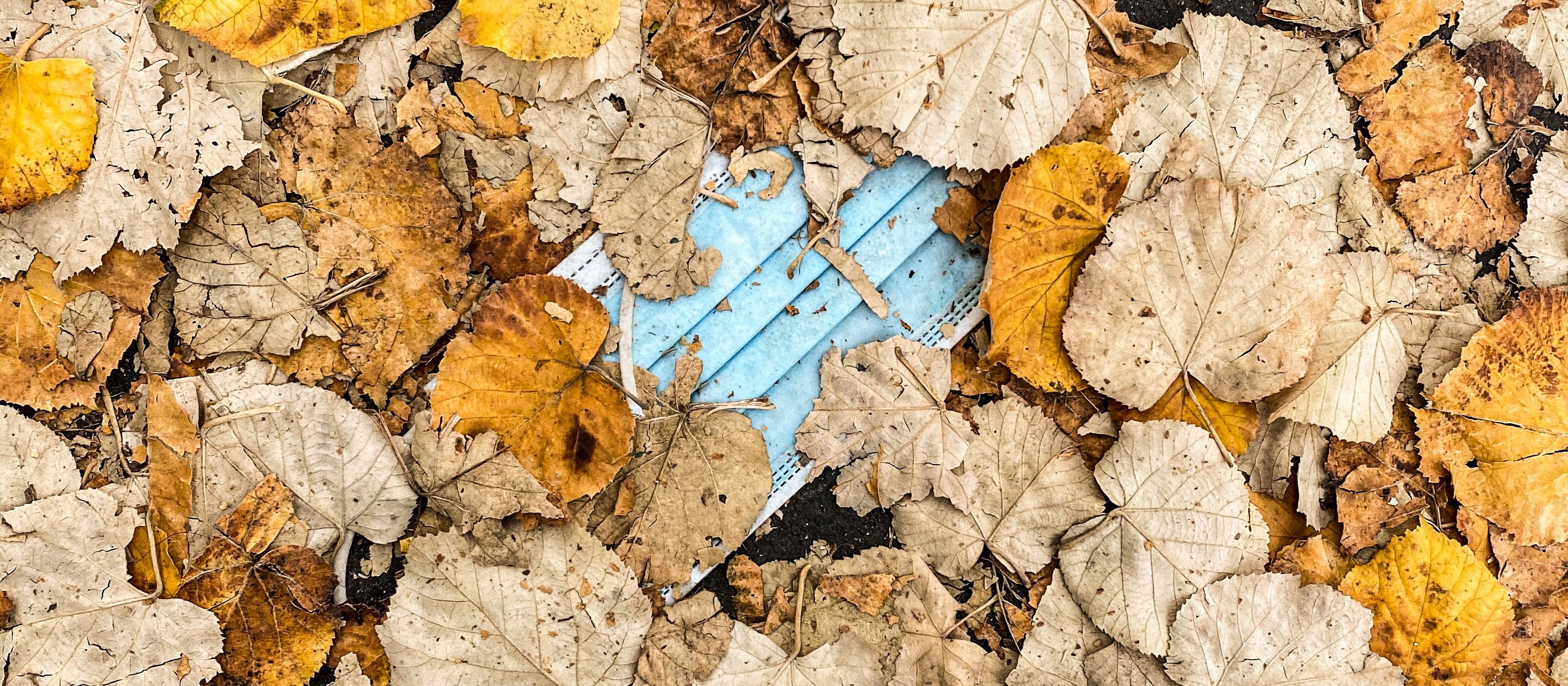 Mask in leaves [Clément Falize on Unsplash]