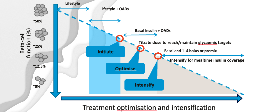 Webinar 2 Insulin