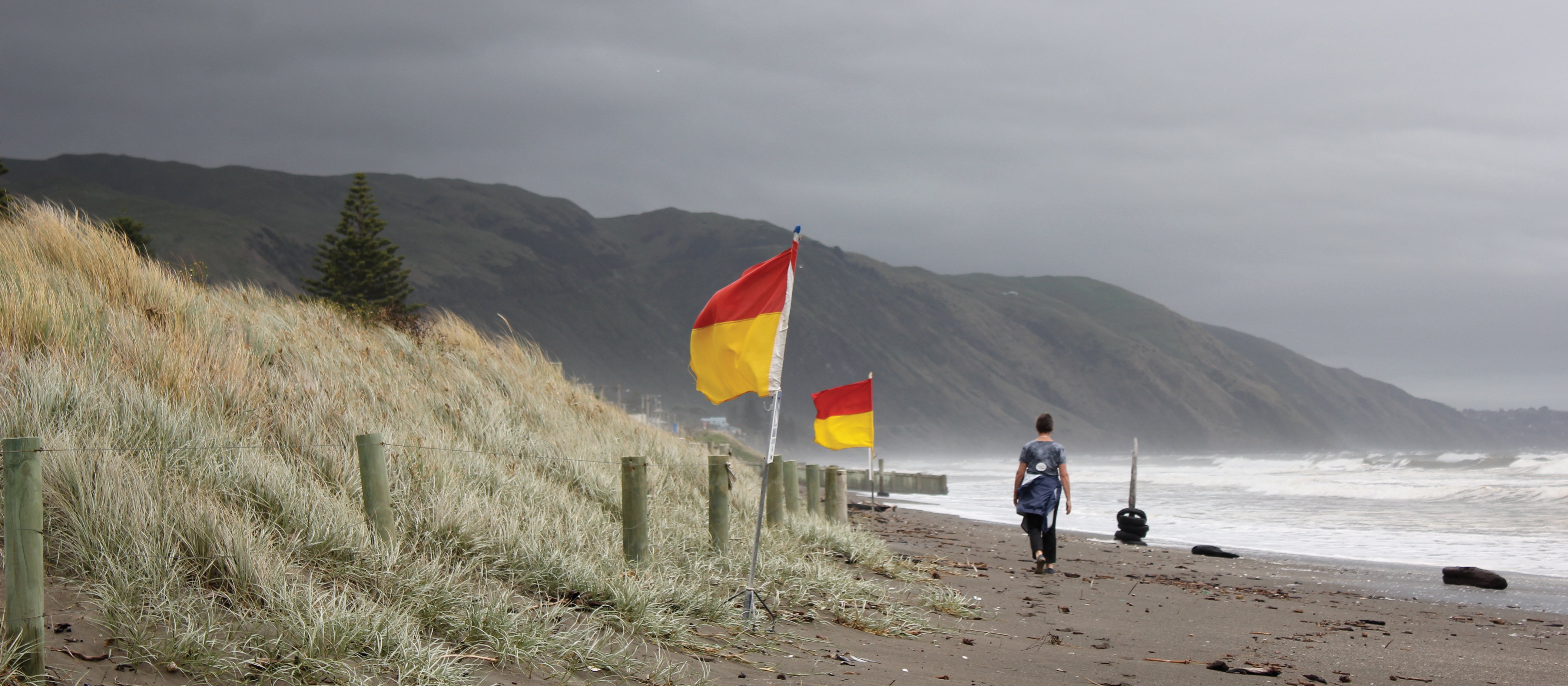 windy day kapiti coast