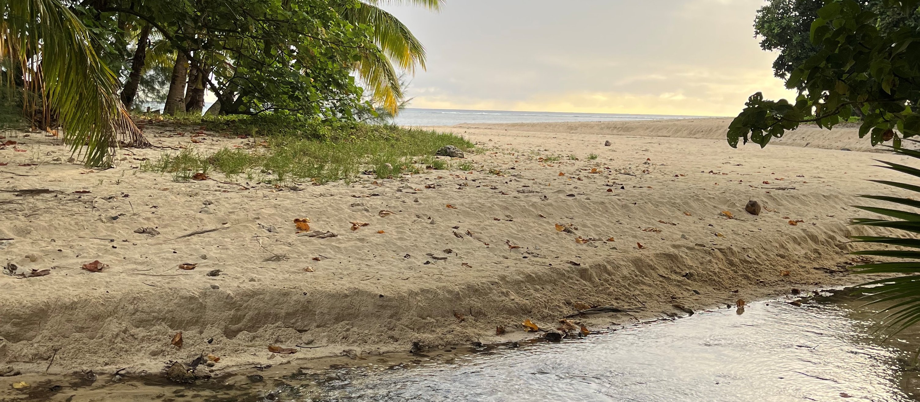 Rarotonga