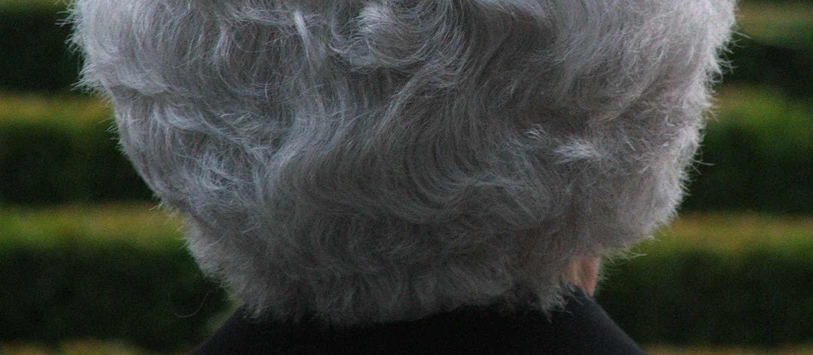 grey hair