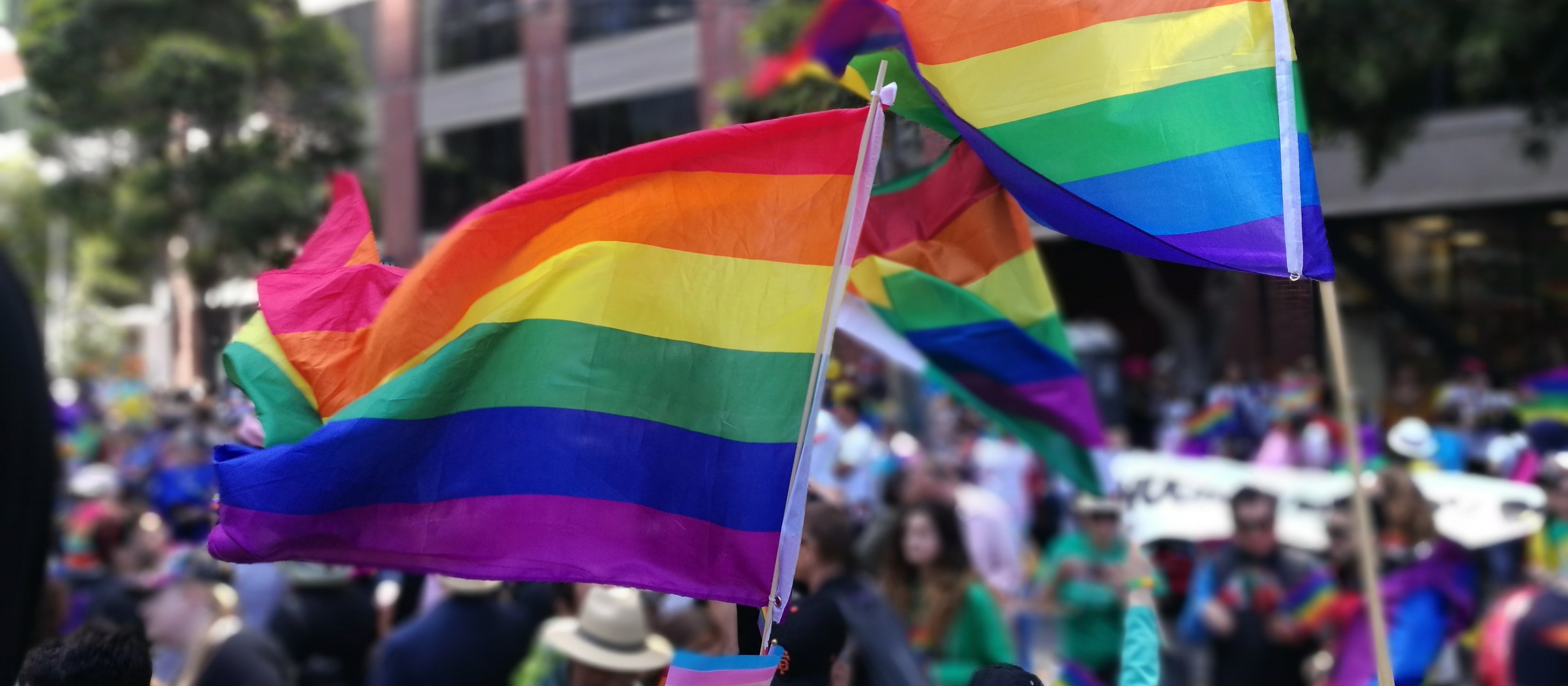 Rainbow flags [Image: YY on Unsplash]