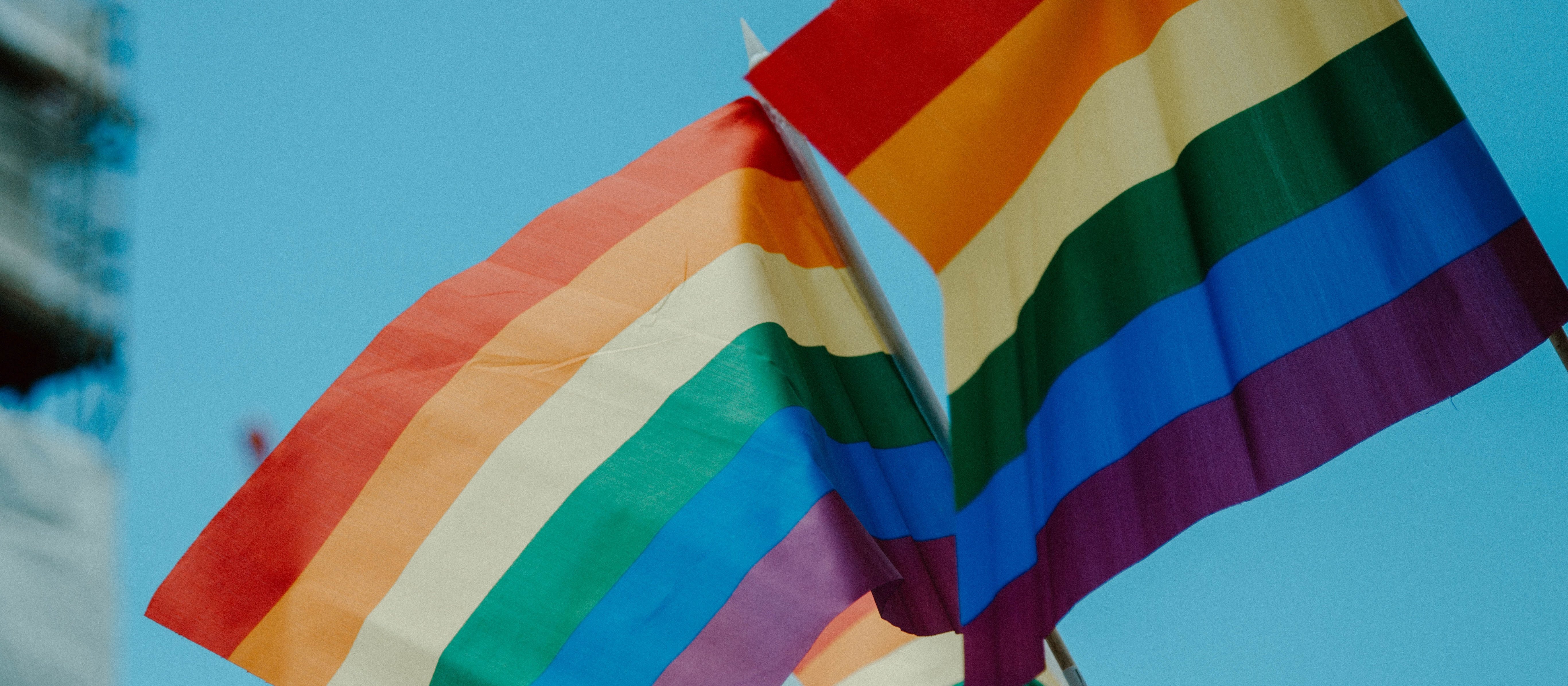 LGBTQ+ flags [Image: Daniel James on Unsplash]