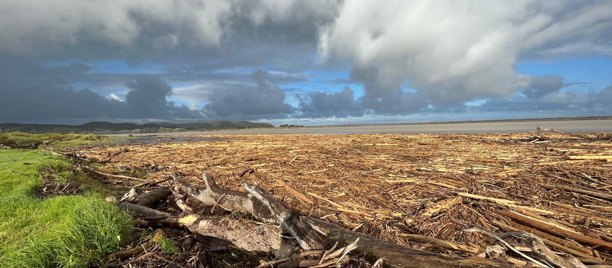 Forestry slash and debris washed up in Wairoa after Cyclone Gabrielle