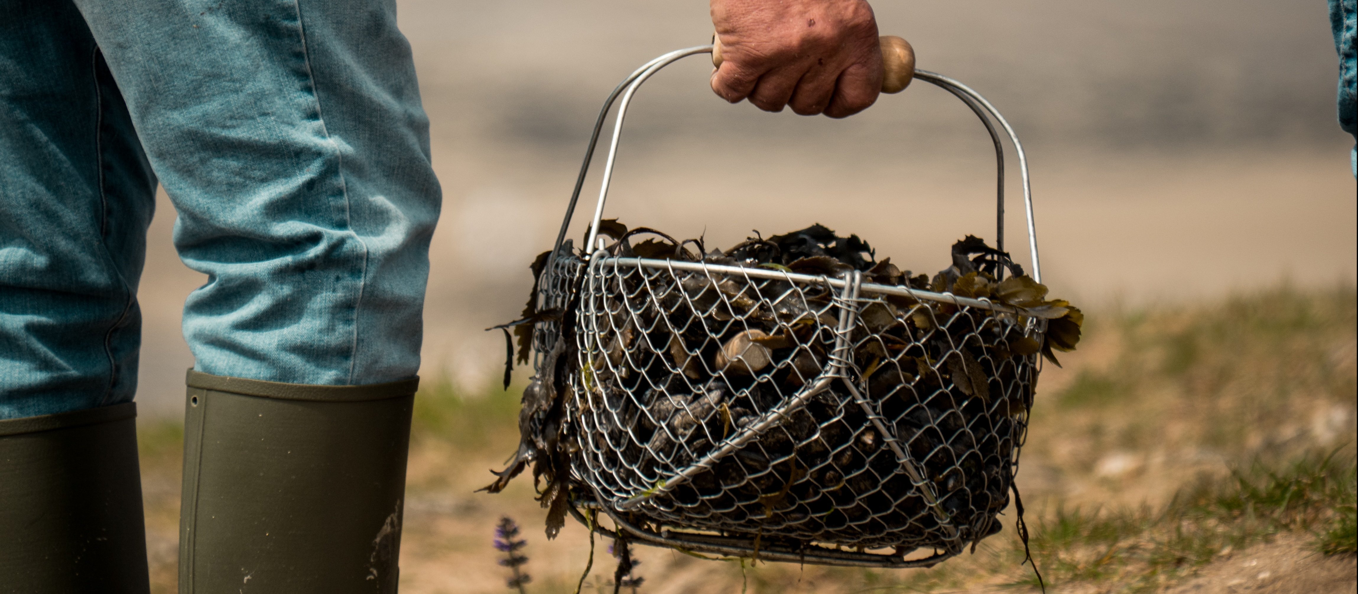 Conversation Mussels