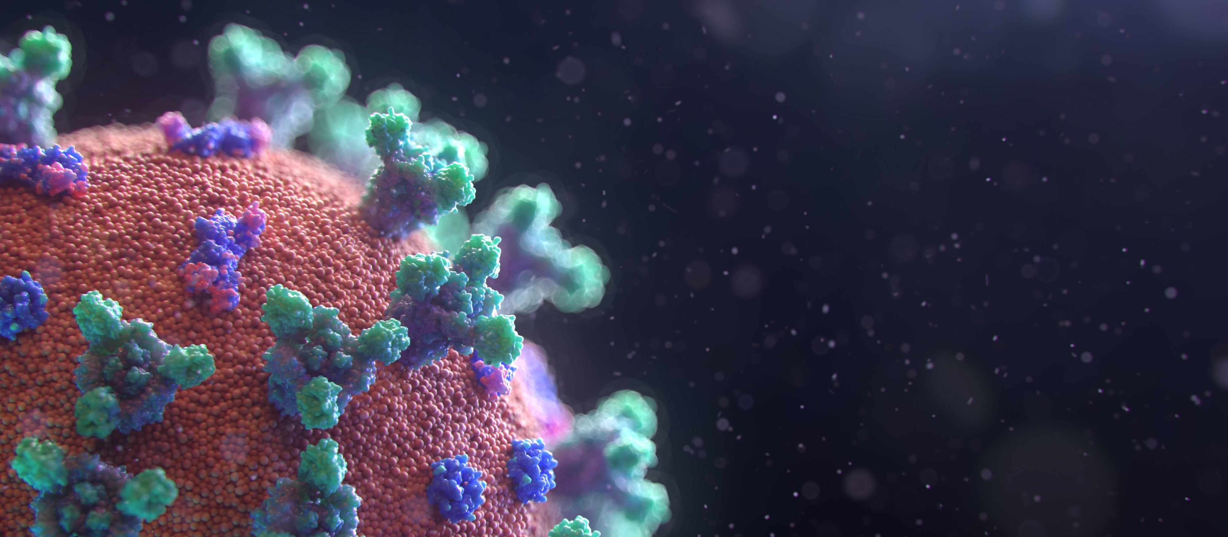 COVID-19 virus up close