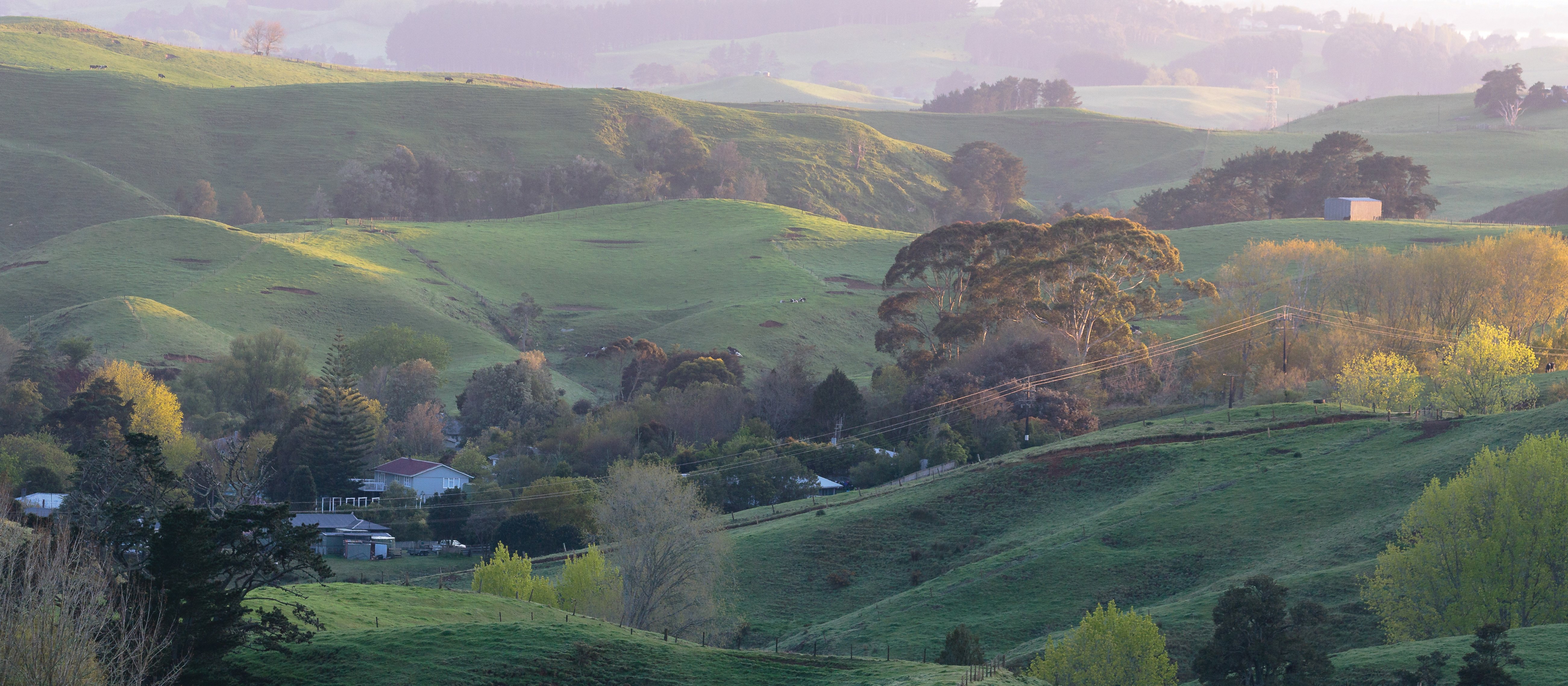 Sunlit farm