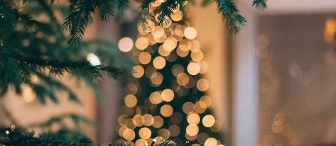 Christmas tree with string lights CR Mourad Saadi on Unsplash