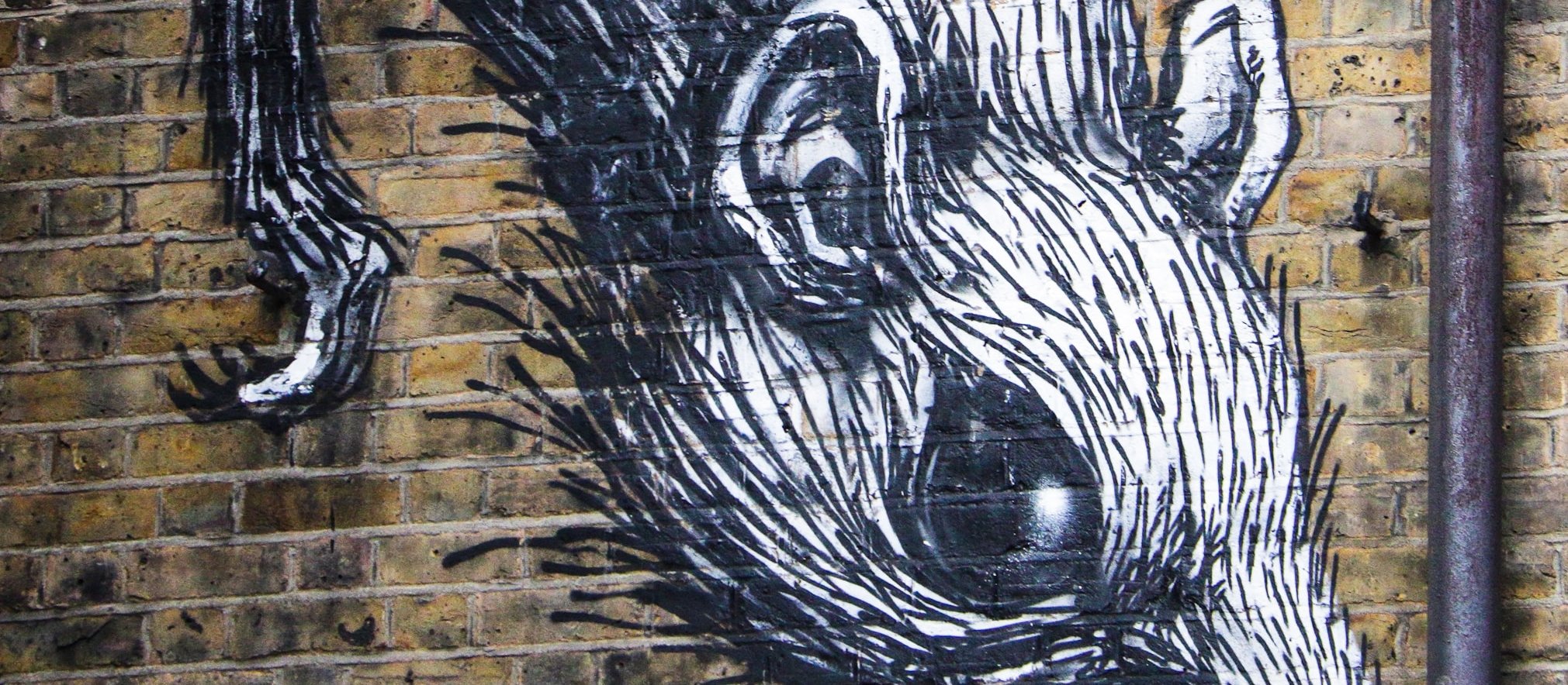 A black and white graffiti image of a large rat appears to crawl out of a brick building