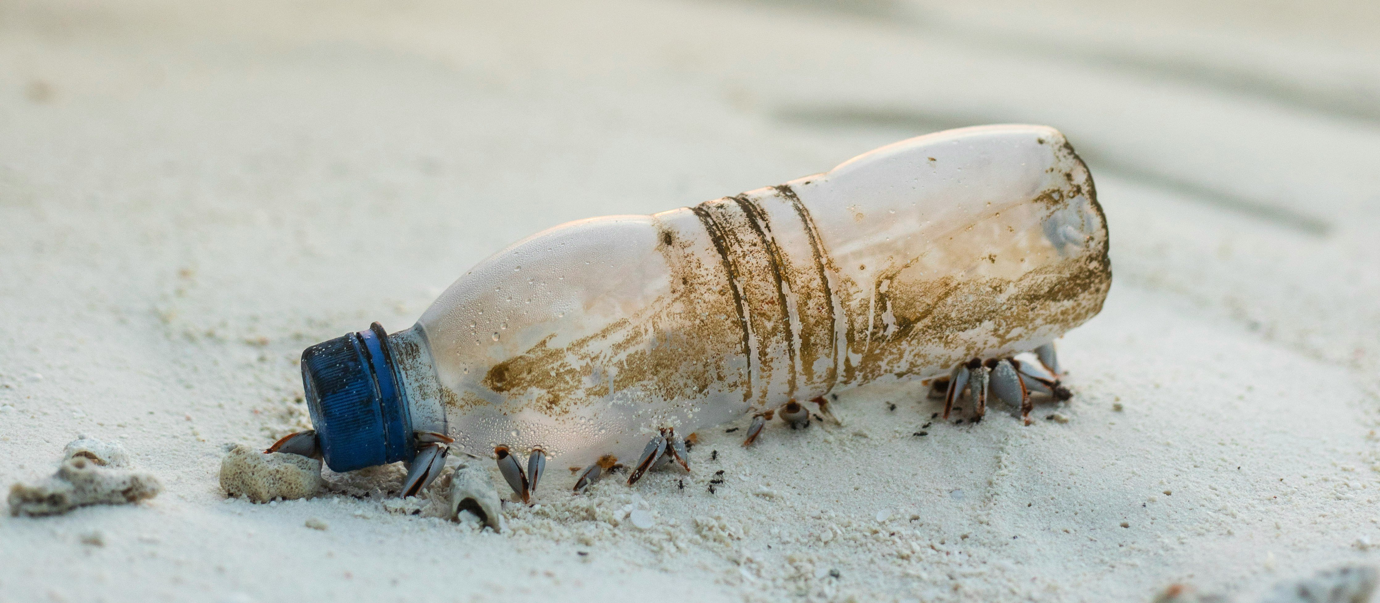 Plastic bottle on beach [Ishan @seefromthesky on Unsplash]