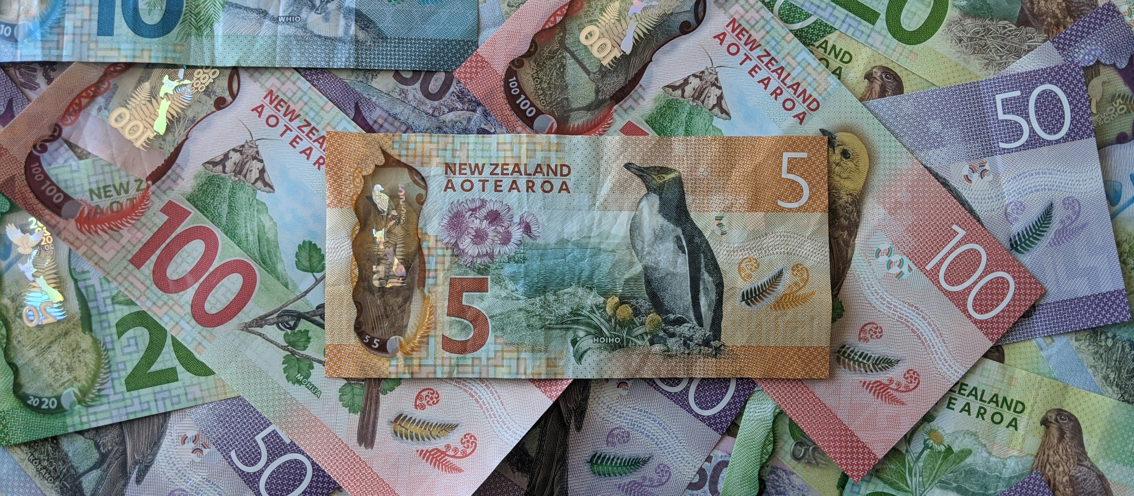 NZ cash, money, notes [Thomas Coker on Unsplash]