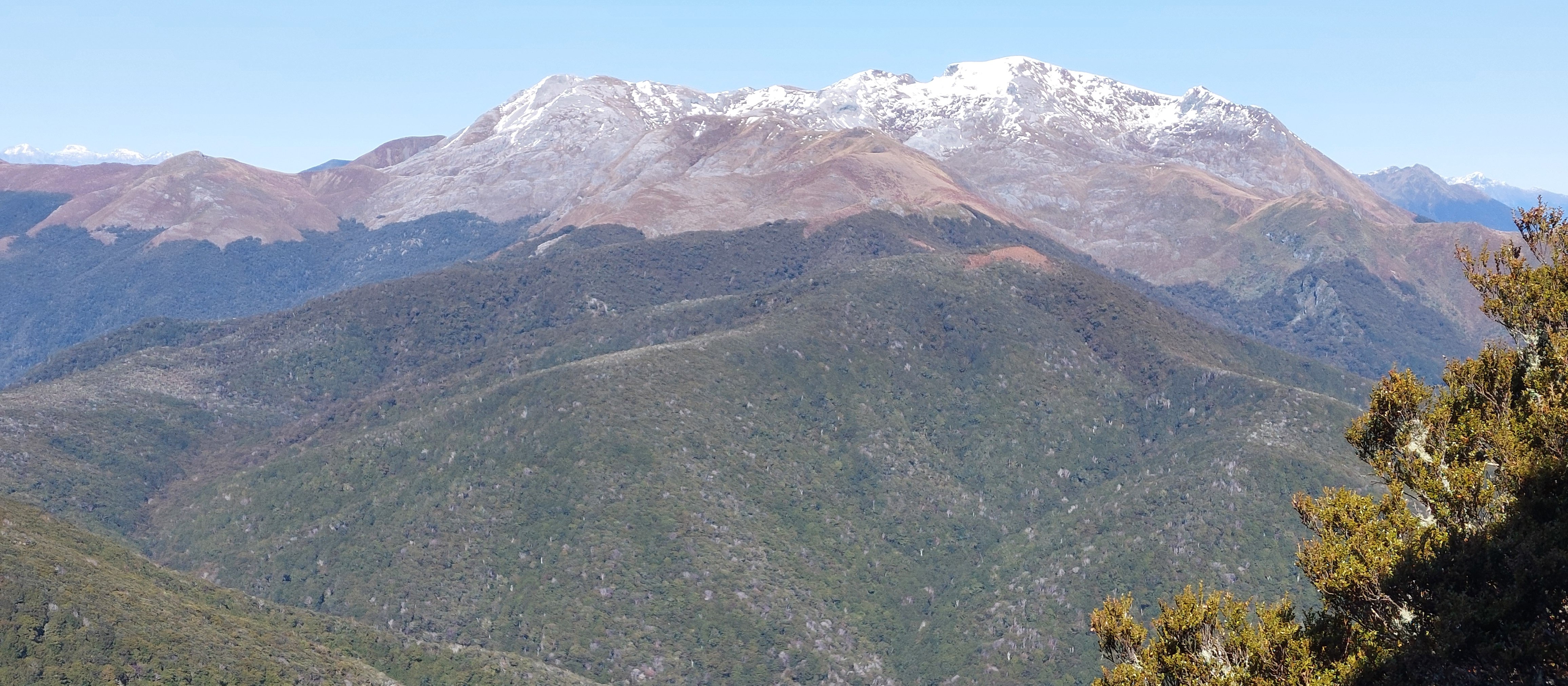 Mt Arthur in the Wharepapa/Arthur Range