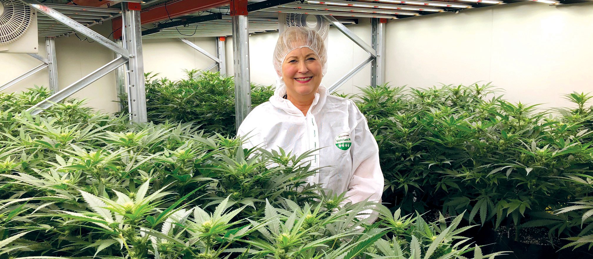 Eqalis chief medical officer Elizabeth Plant believes both ACC and MSD should develop coherent policies so prescribers can have certainty over when a script for a medicinal cannabis product will be funded