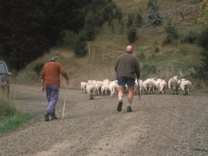 rural, farming