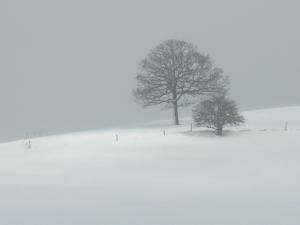 grey, winter, snow