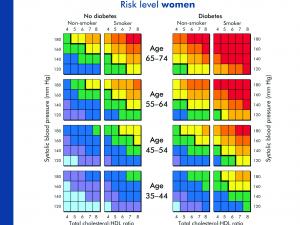 CVD risk