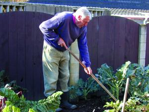 Elderly gardener