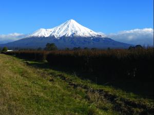 Taranaki Manga