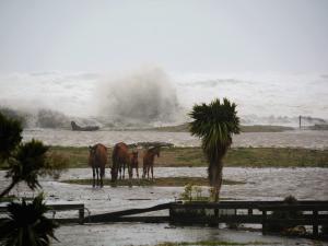 Flooding in Buller